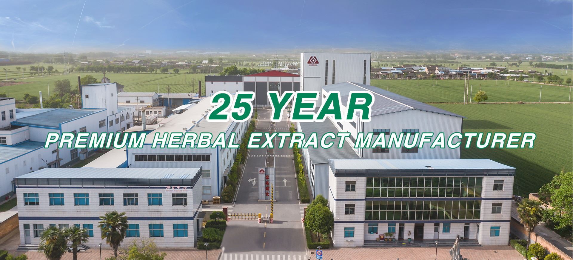 25 years Plant Extract Manufacturer